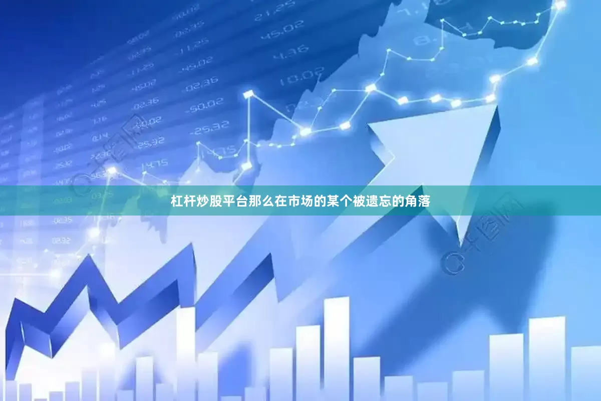 杠杆炒股平台那么在市场的某个被遗忘的角落