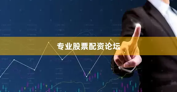 专业股票配资论坛